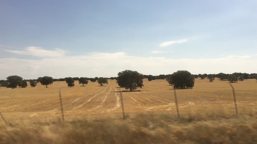 View of passing landscape while traveling by train