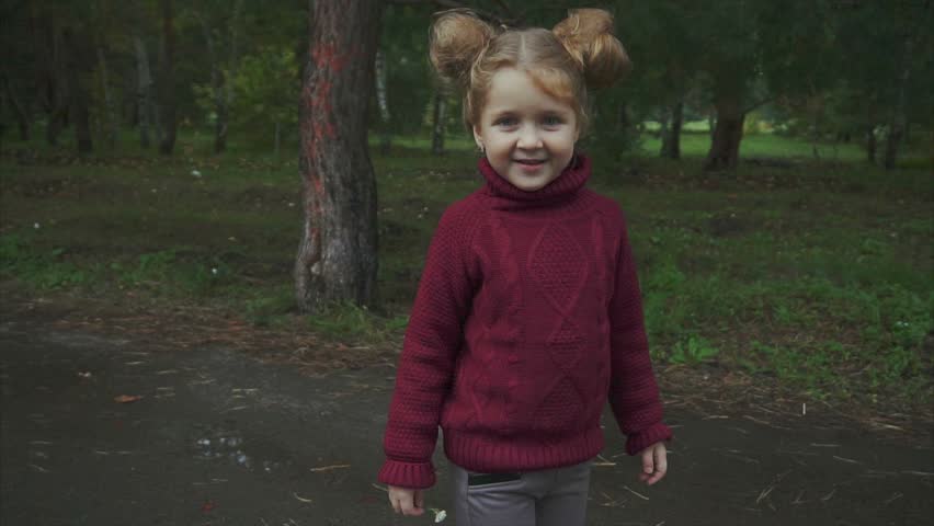 Portrait of little pretty girl in the autumn park. HD