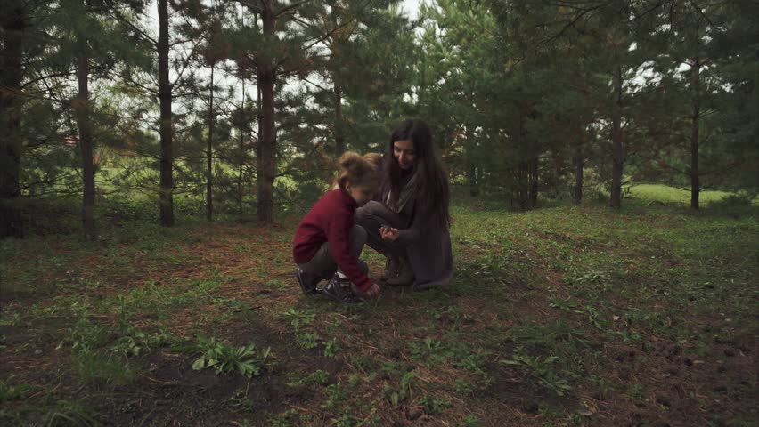 Mother and daughter looking for lumps in the forest 4K