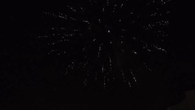 New Year fireworks on night sky