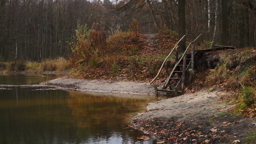 Lake of the Woods. Trees and leaves reflected in the water.