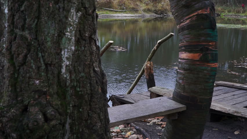 Lake of the Woods. Trees and leaves reflected in the water.