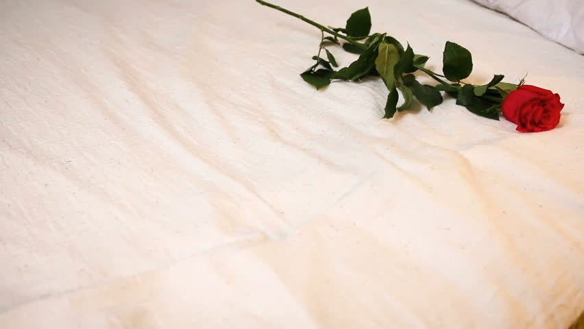 One red rose lay on the big bed