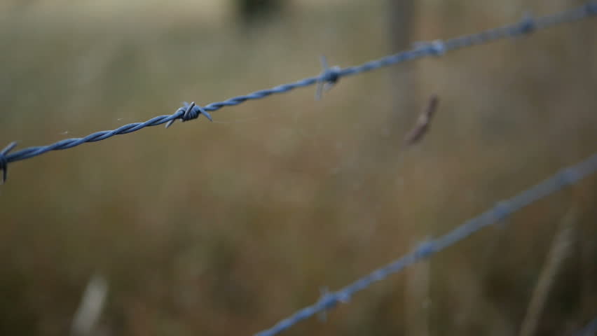 pulling barbed wire fence