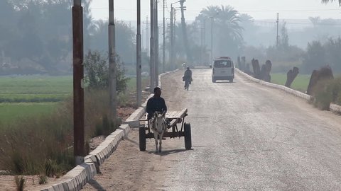EGYPT, LUXOR - JANUARY 2013: Man With White Donkey & Cart On Road; Luxor Egypt
