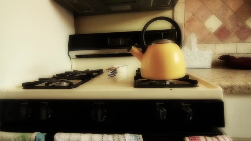 A Tea Kettle heating on the stove top.