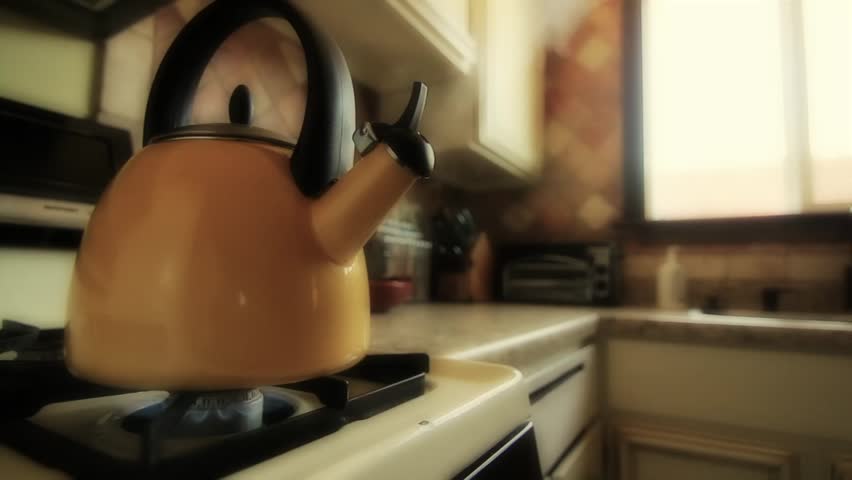 A Tea Kettle heating on the stove top.
