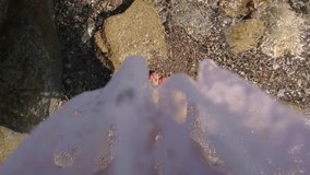 video footage of a woman walking at a beach in summer (POV perspective)