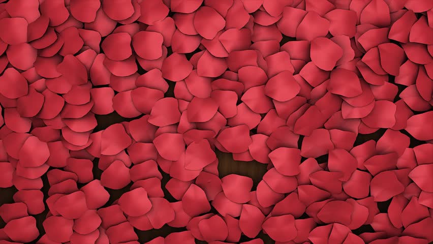 Animation of flower petals blowing in the wind. alpha channel included
