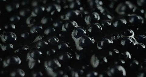 Macro shot of caviar, is a food that is achieved through processing and salting the eggs of several species of sturgeon. Food concept, high-quality, gourmet, restaurants.