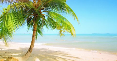 Tropical Beach Coconut Palms Hammock Stock Vector (Royalty Free ...