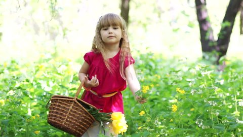 Happy girl with basket collects yellow flowers
