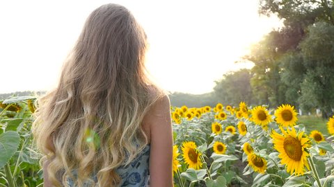 girl walks at sunflower field and touches her hair