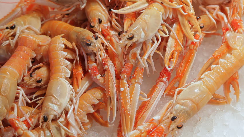 Circa 2011: Cu Ld Shrimp 스톡 동영상 비디오(100% 로열티 프리) 22472245 | Shutterstock