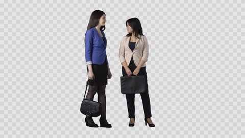 Two Young Women Business Wear Clothes Stock Footage Video (100% Royalty ...