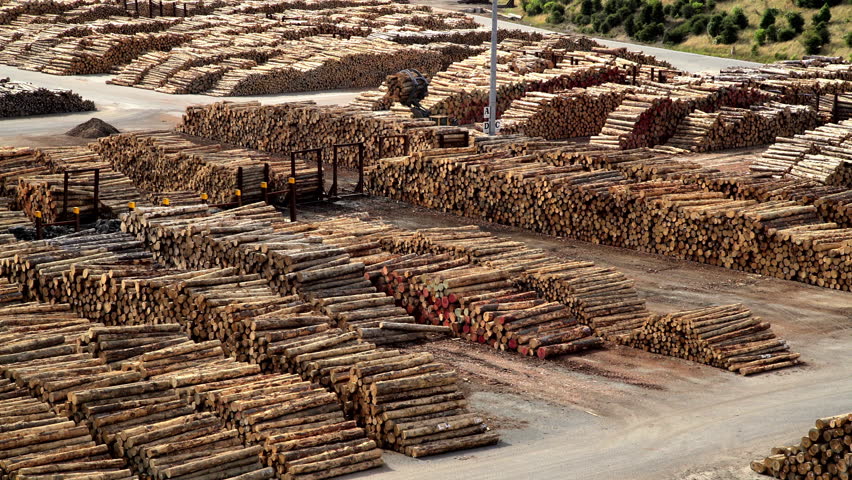 Deforestation Lumberyard with Grabber loading timber on Bulk Carrier for manufacturing export Picton South Island New Zealand