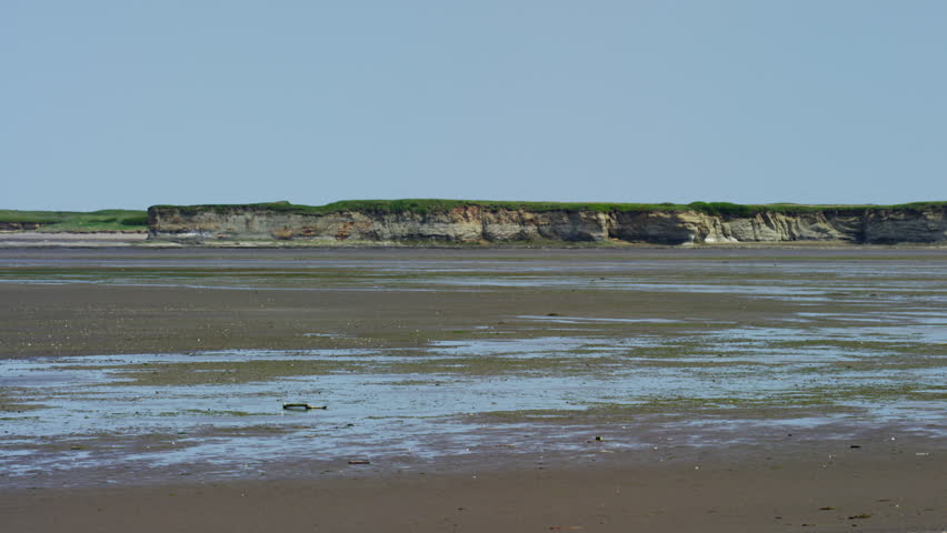 Alaskan mother Brown Bear and cubs with Mt Redoubt volcano Katmai Peninsula Coastline National Park Reserve Wilderness Alaska USA RED DRAGON