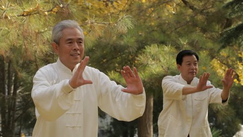 MS PAN Two elderly men doing Tai Chi in park / China