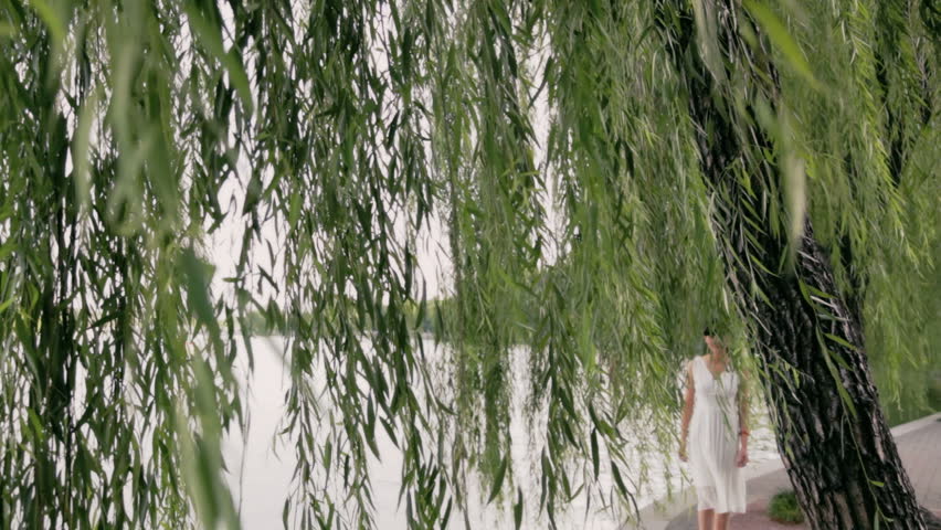 MS Young woman walking then looking afar standing at lakeshore with willow trees in background / Beijing, China