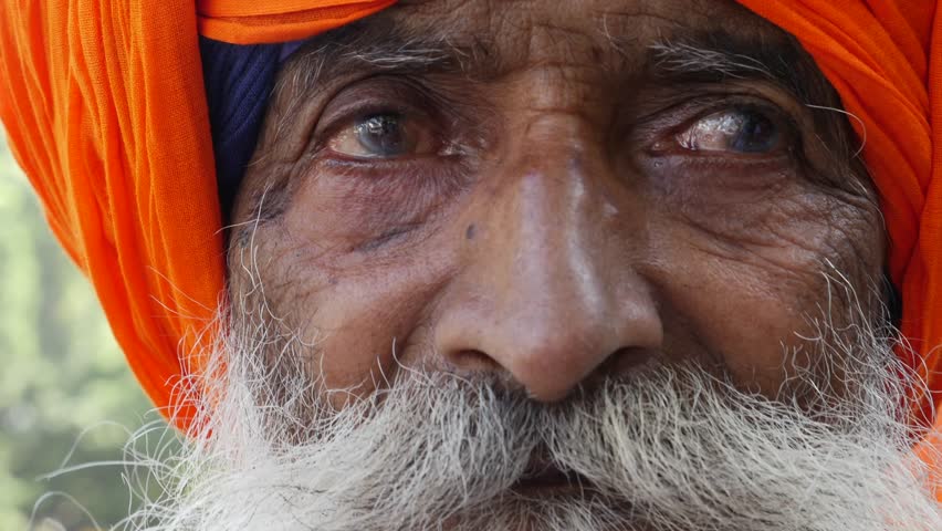 Close-up of Sikh Man, Punjab, India