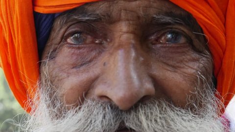Close-up of Sikh Man, Punjab, India