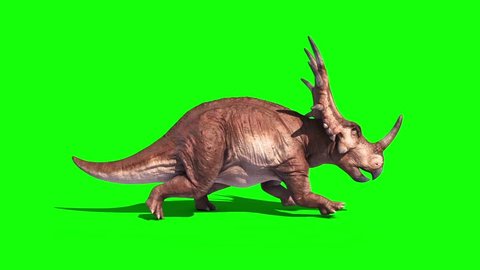 Styracosaurus Triceratops Run Side Static Loop Dinosaurs Jurassic Green Screen