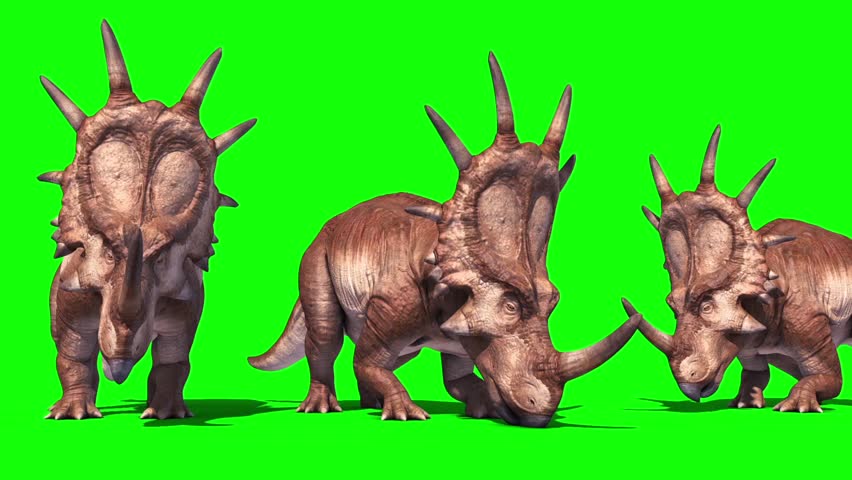 do triceratops eat meat