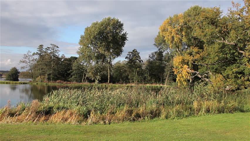 Castle Howard Lake & Trees; Malton North Yorkshire England