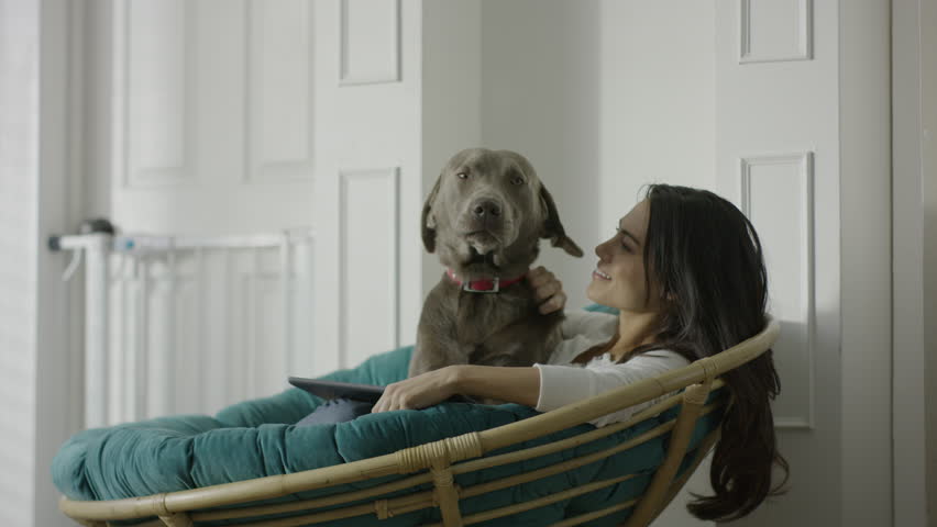 Medium shot of dock licking face of woman sitting in papasan / Provo, Utah, United States