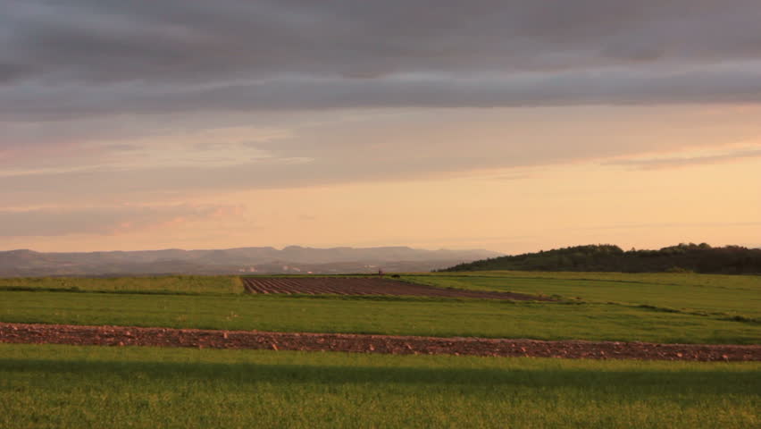 Family with dog in beautiful landscape far away