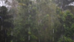 Rain falling over green leaves blurred background - Powered by Shutterstock - Get 15% off with code: PIKWIZARD15