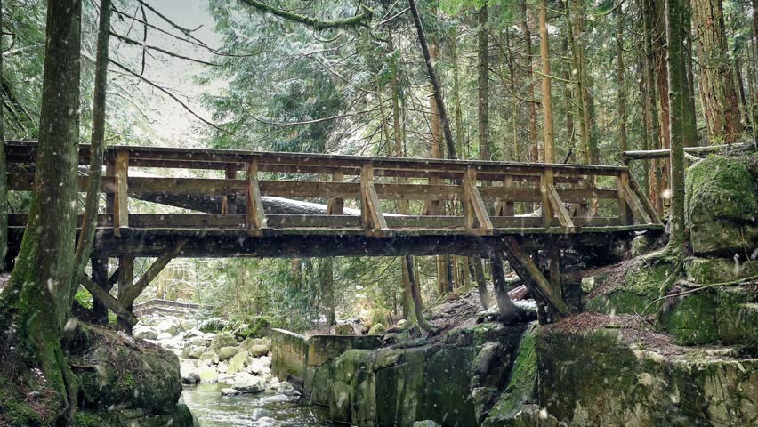 Bridge Over Forest River In Snowfall