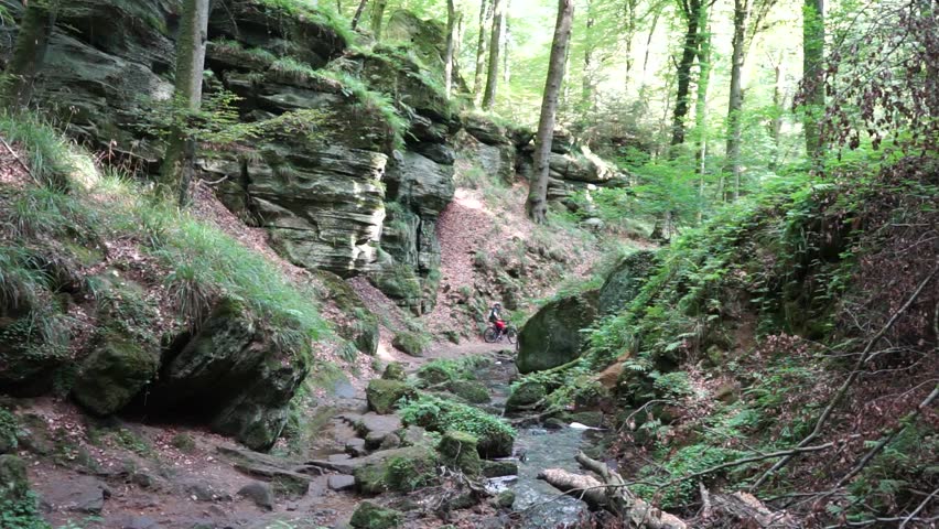 Small river in the forest in Luxembourg