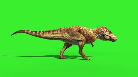 T Rex Tyrannosaur Feathered Run Side Loop Jurassic World Dinosaurs Green Screen