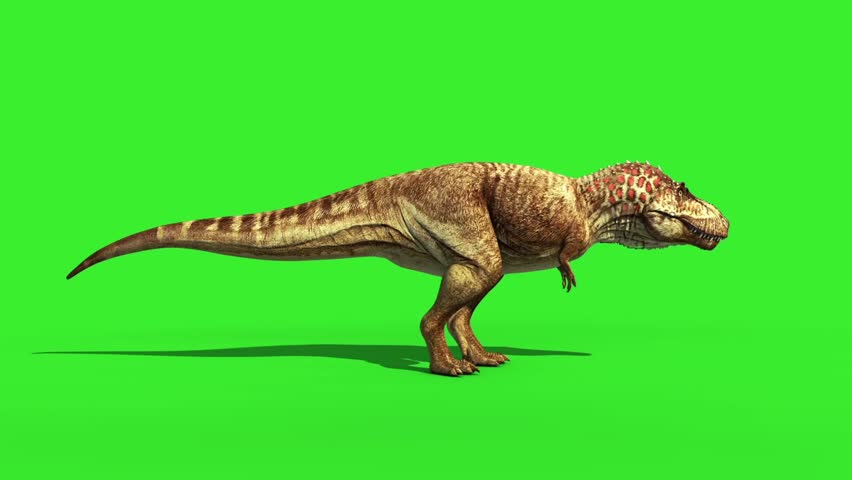 Получите стоковое видео «T Rex Тираннозавр Пернатый Рев боковой» продолжите...