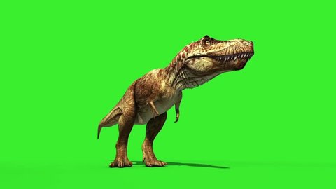 T Rex Tyrannosaur Feathered Roar Down Loop Jurassic World Dinosaurs Green Screen