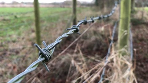 Barbed wire fence in British winter countryside