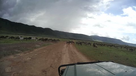 Timelapse from safari car driving through Ngorongoro National Park, Tanzania