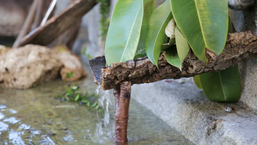Typical fountain with the water flowing on the shingle covered by some plants in the city.