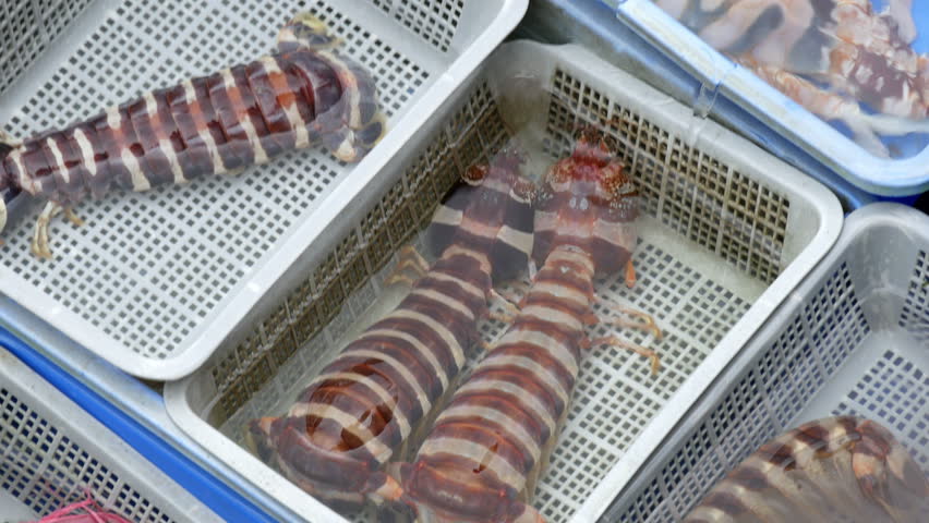 Selling fish in Sai Kung Hong Kong - close up of stripey live lobster in water filled plastic containers on moving on deck of small boat