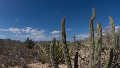 time-lapse of the beautiful desert landscape of baja california sur, mexico