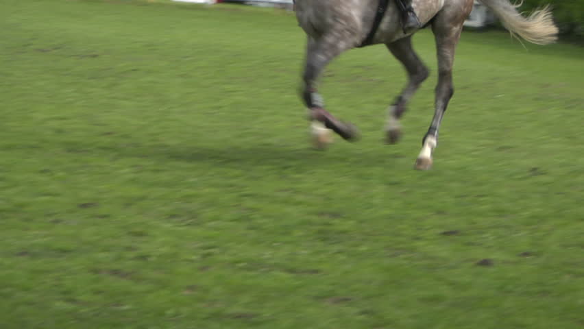 TRAVAGLIATO, ITALY - April 30: close up of a horse jumping during Travagliato