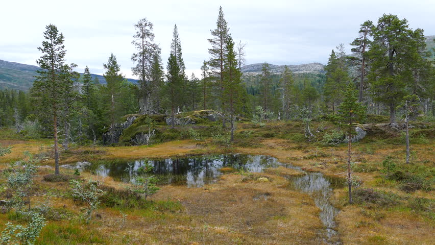 Pond in Borgefjell National Park Norway