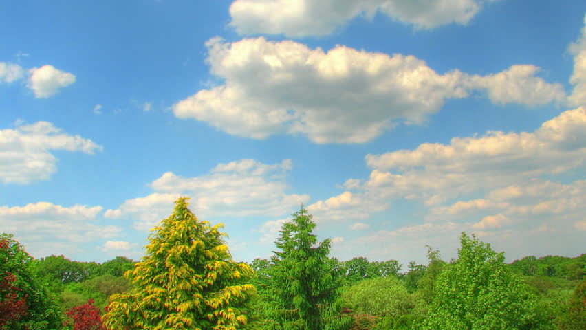 Clouds over forest, HD time lapse clip, high dynamic range imaging (hdr) 