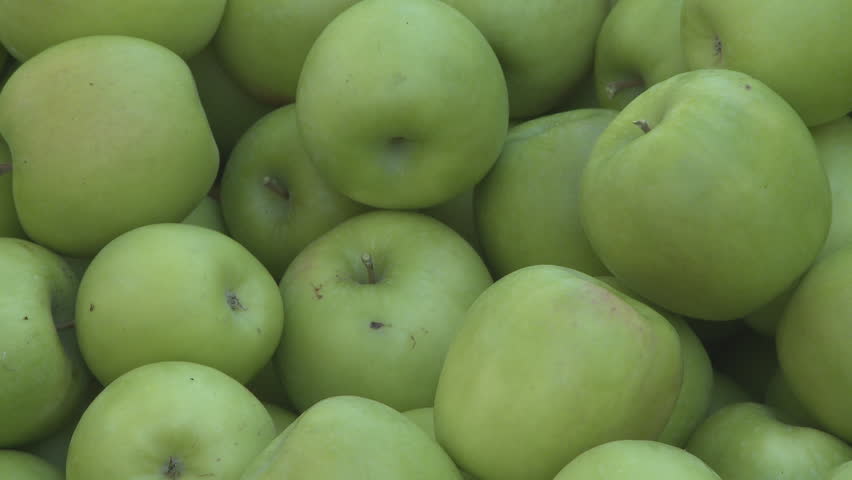Freshly picked granny smith apples in a orchard bin zoom out