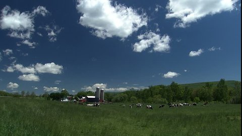 dairy farm in western Maryland Stock Video