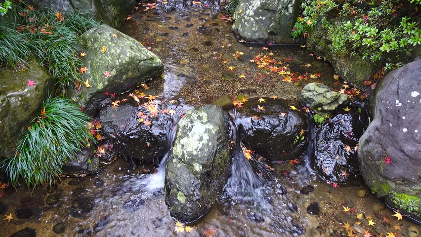 Landscape of Japanese Garden in Stock Footage Video (100% Royalty-free