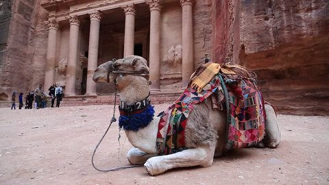 JORDAN, PETRA, DECEMBER 5, 2016: People and camel near Al Khazneh or the Treasury at Petra, originally known to Nabataeans as Raqmu - historical and archaeological city in Hashemite Kingdom of Jordan