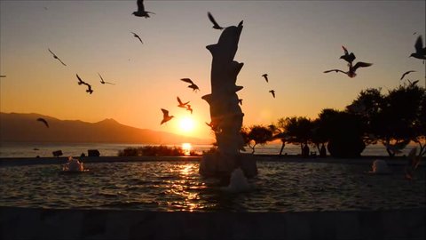 Seagulls flying around statue of dolphins on pool at sunset, in Karsiyaka - Izmir - Turkey.