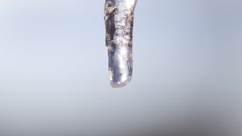 Macro icicle heated under sunlight and a drop of water dripping.
